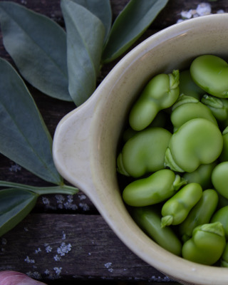 Herkullista härkäpapua